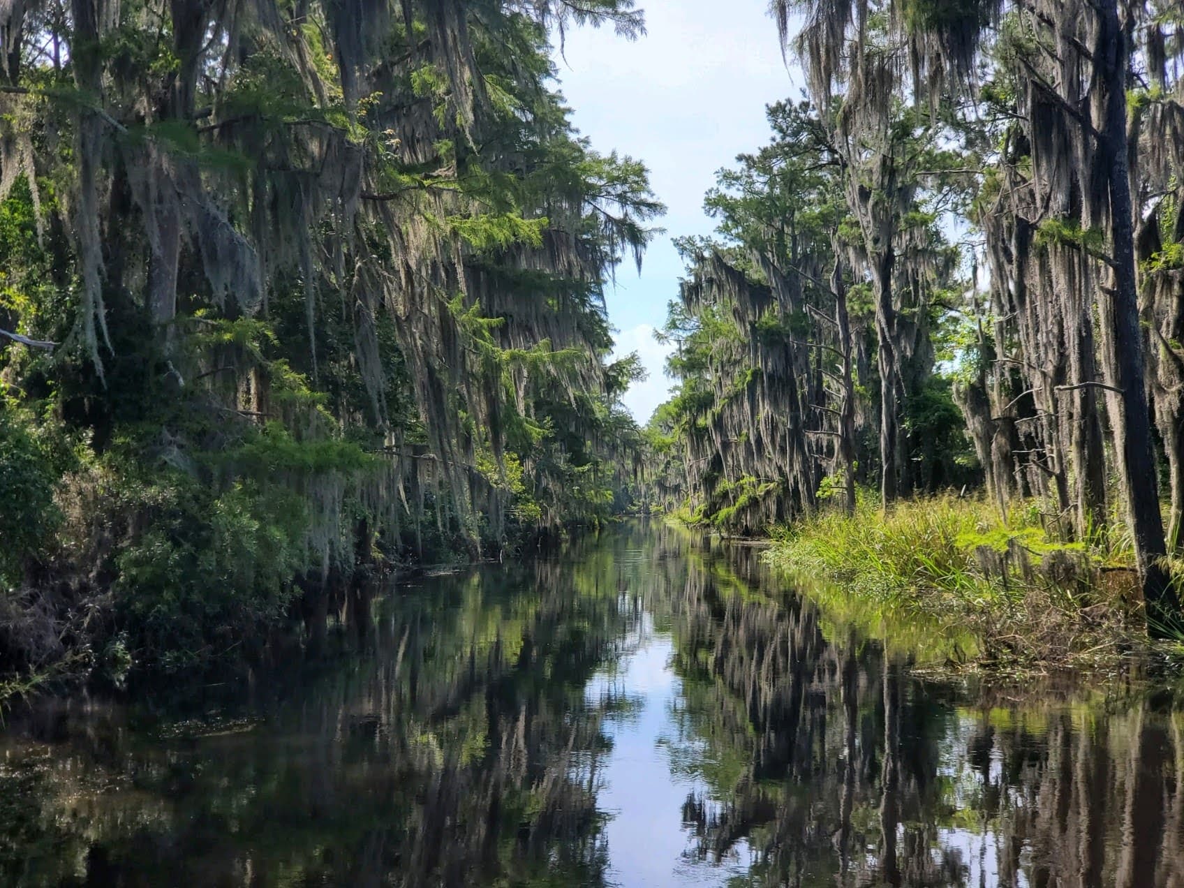Wetlands Boat Tour with Beyond the Bayou Tours in Maurepas