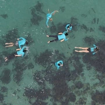 Aerial top-down of snorkelers floating over reef in clear sea