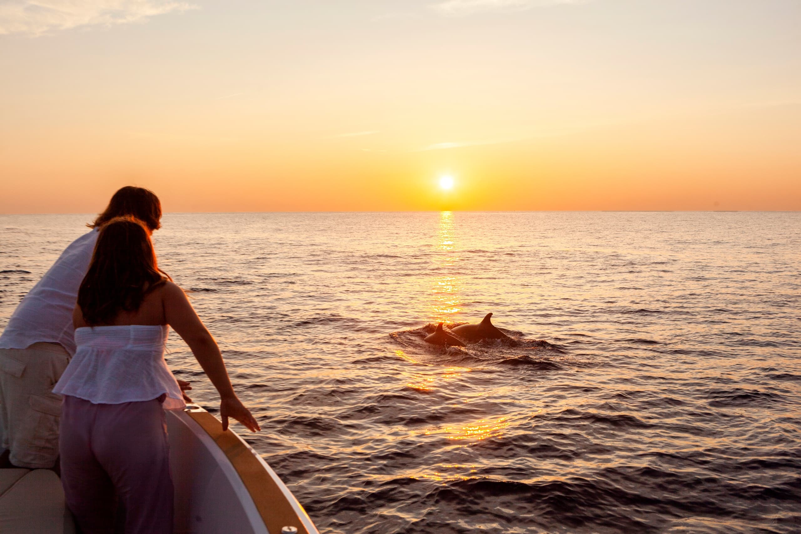 Water-Activities: Sunrise & Snorkel with Dolphins in Mallorca