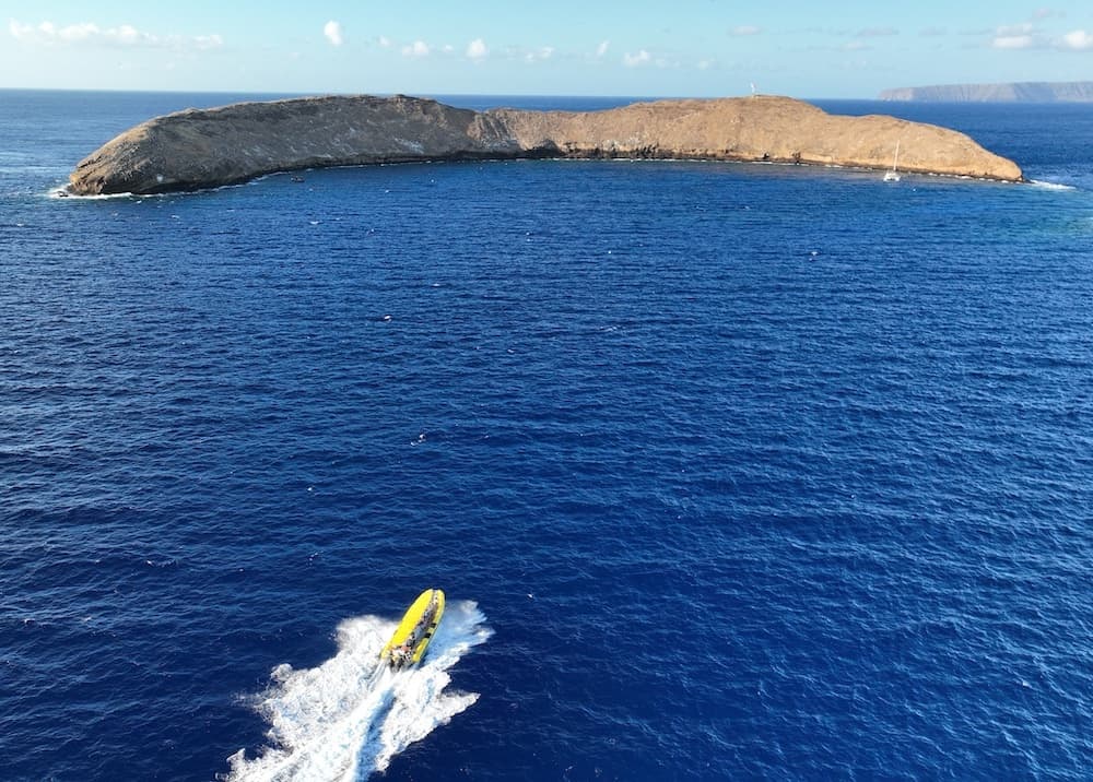 Maui Snorkel Charters team