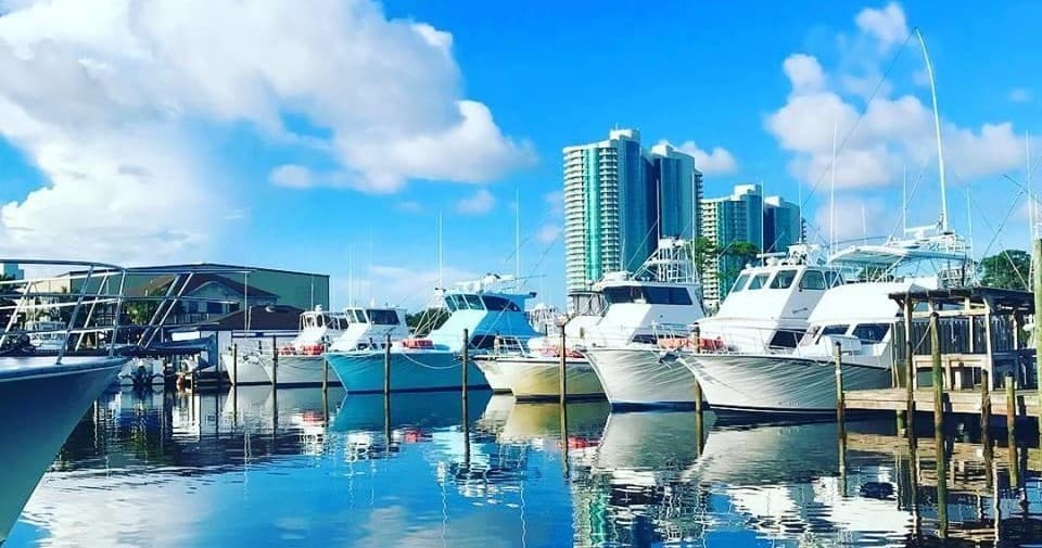 Marina and charter boats docked under blue sky at harbor