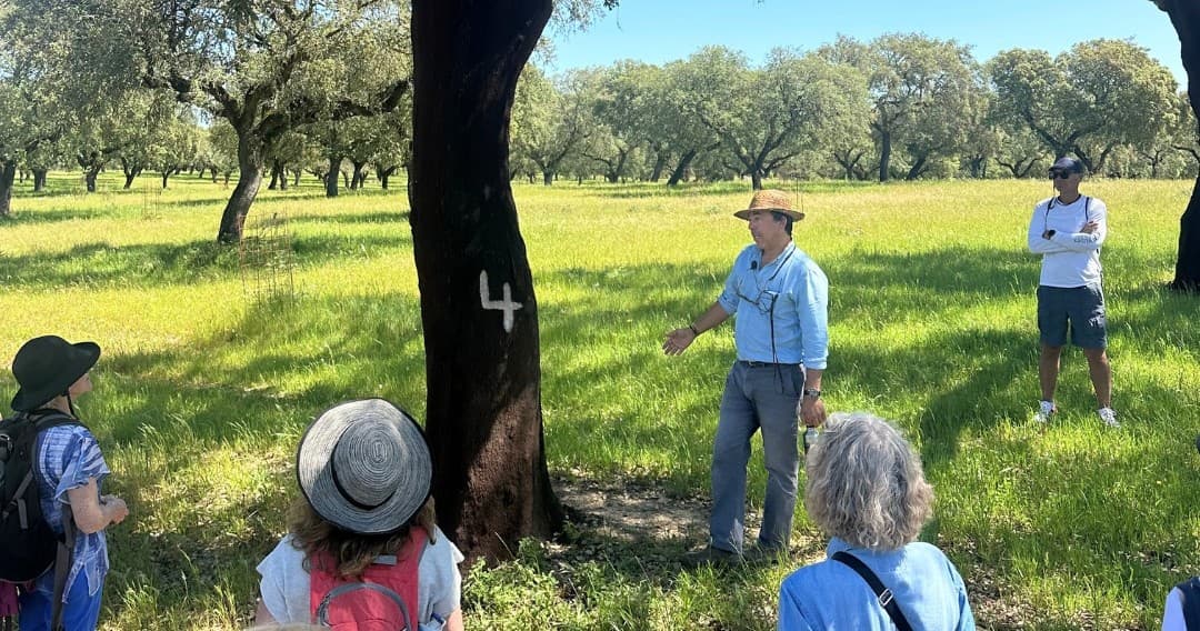 Cork Farm & Tasting Experience in Alentejo