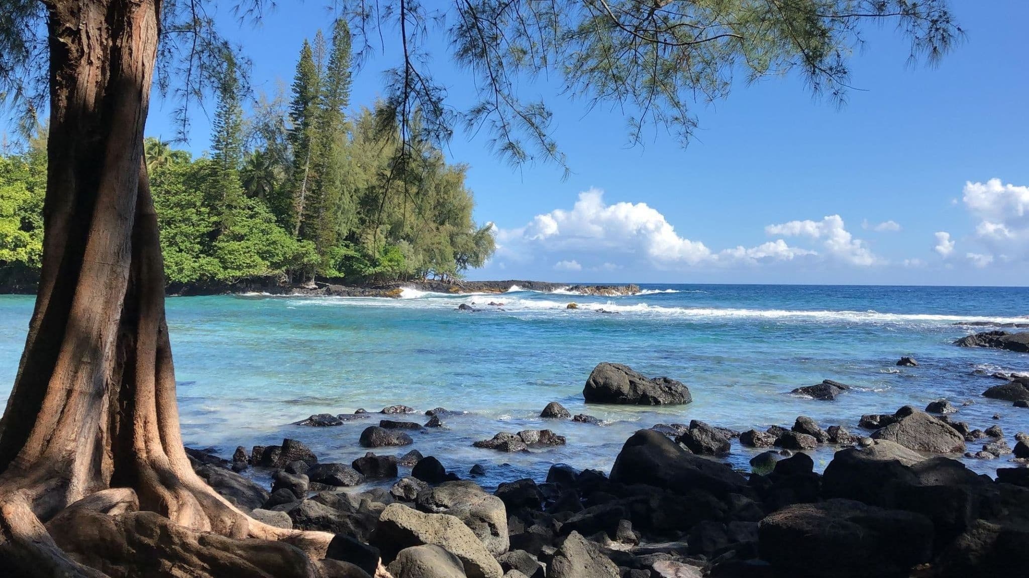Rocky shoreline with coastal trees and clear tropical lagoon view