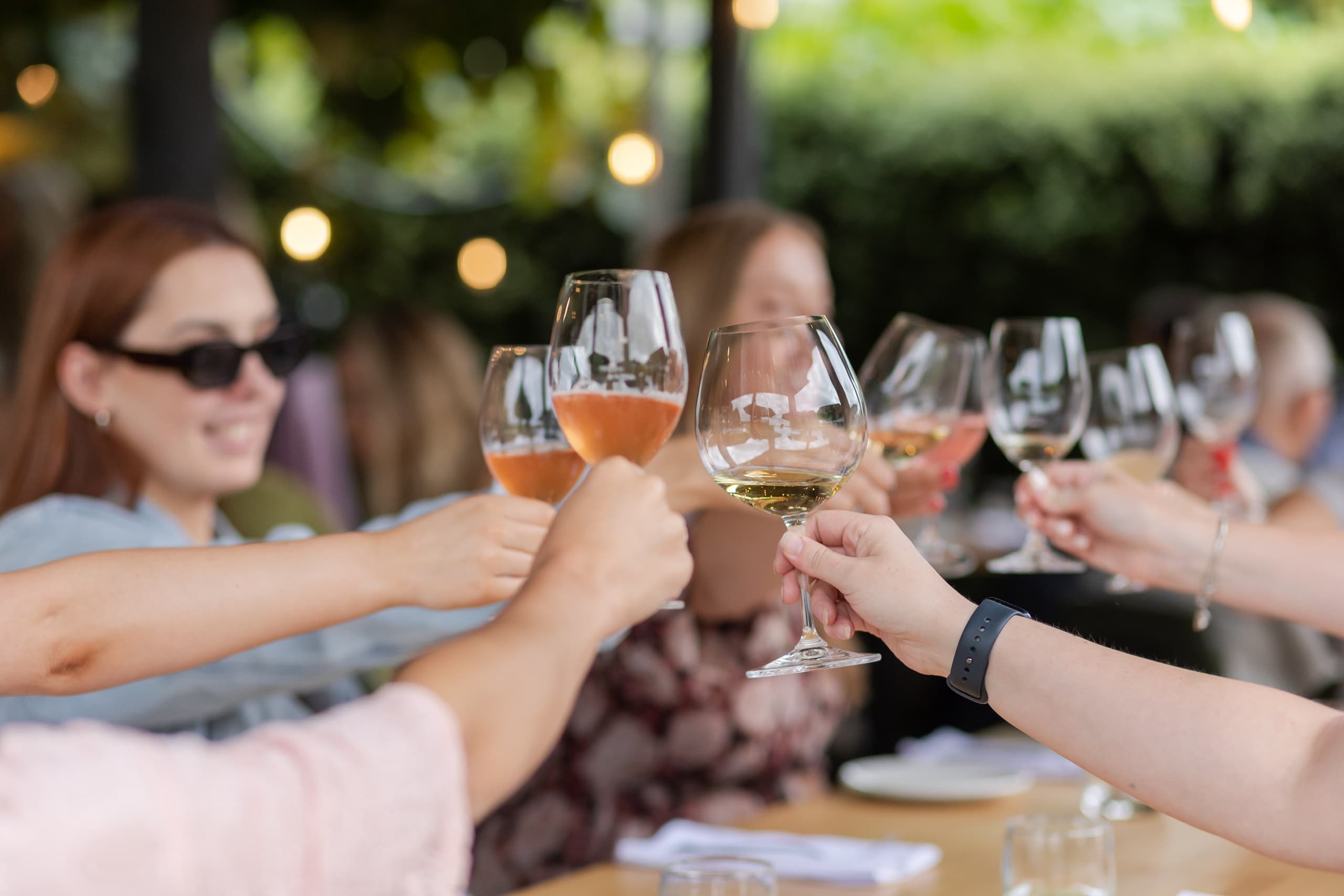 Group toasting with wine glasses outdoors at vineyard dining event