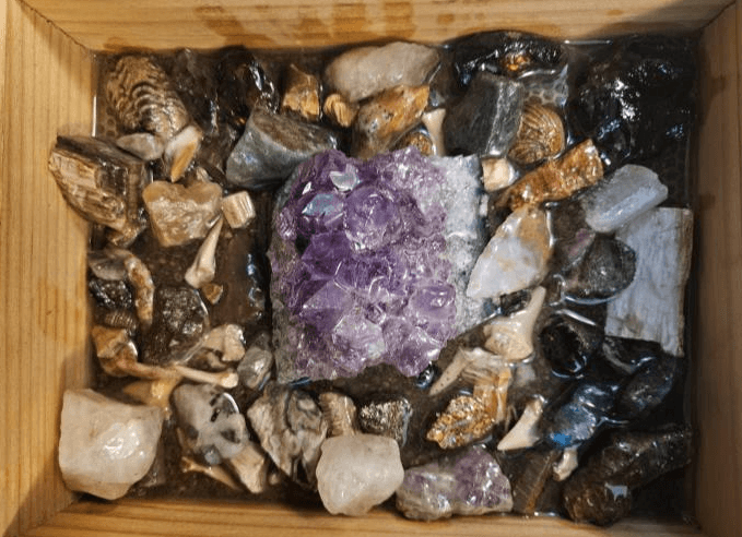 Gem Panning Adventure at Raccoon Mountain Caverns