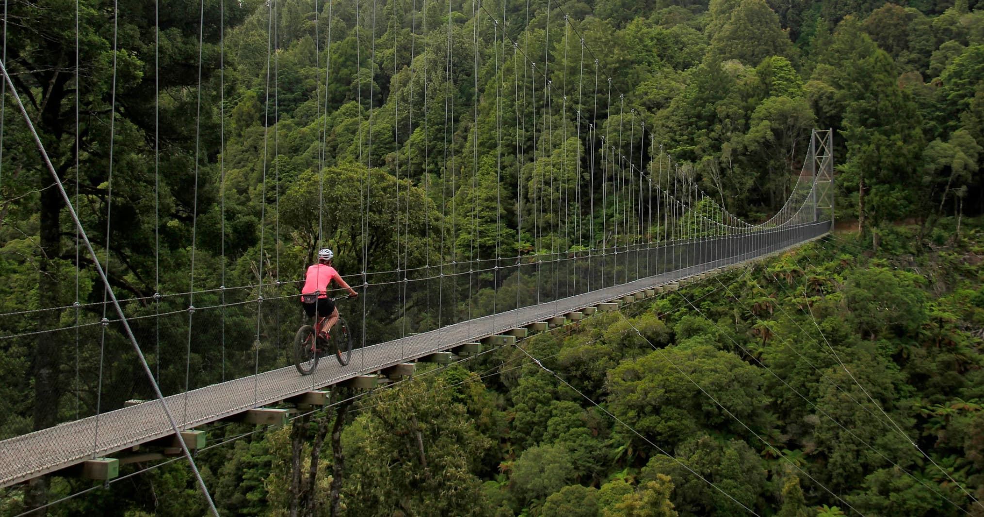 Epic Cycle Adventures team