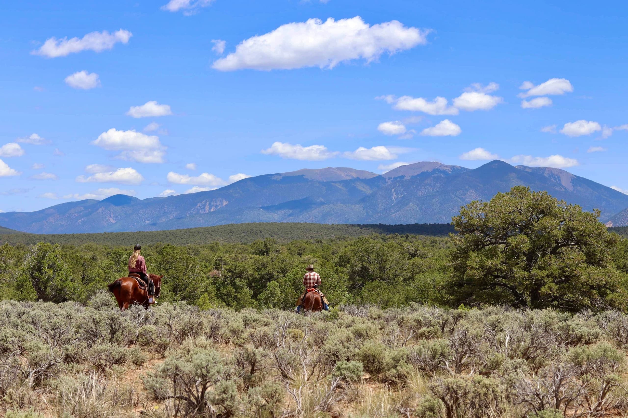 Rio Grande Stables 2-Hour Morning Ride in Questa, NM