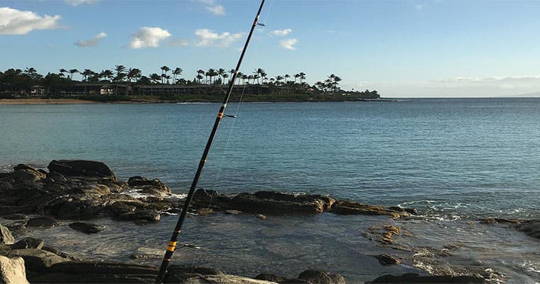 Fishing rod on rocky shoreline in Hawaii, calm ocean view