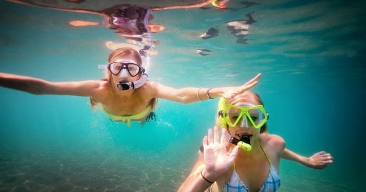 Guided Snorkel Eco Tour | Snorkel in Avalon, California