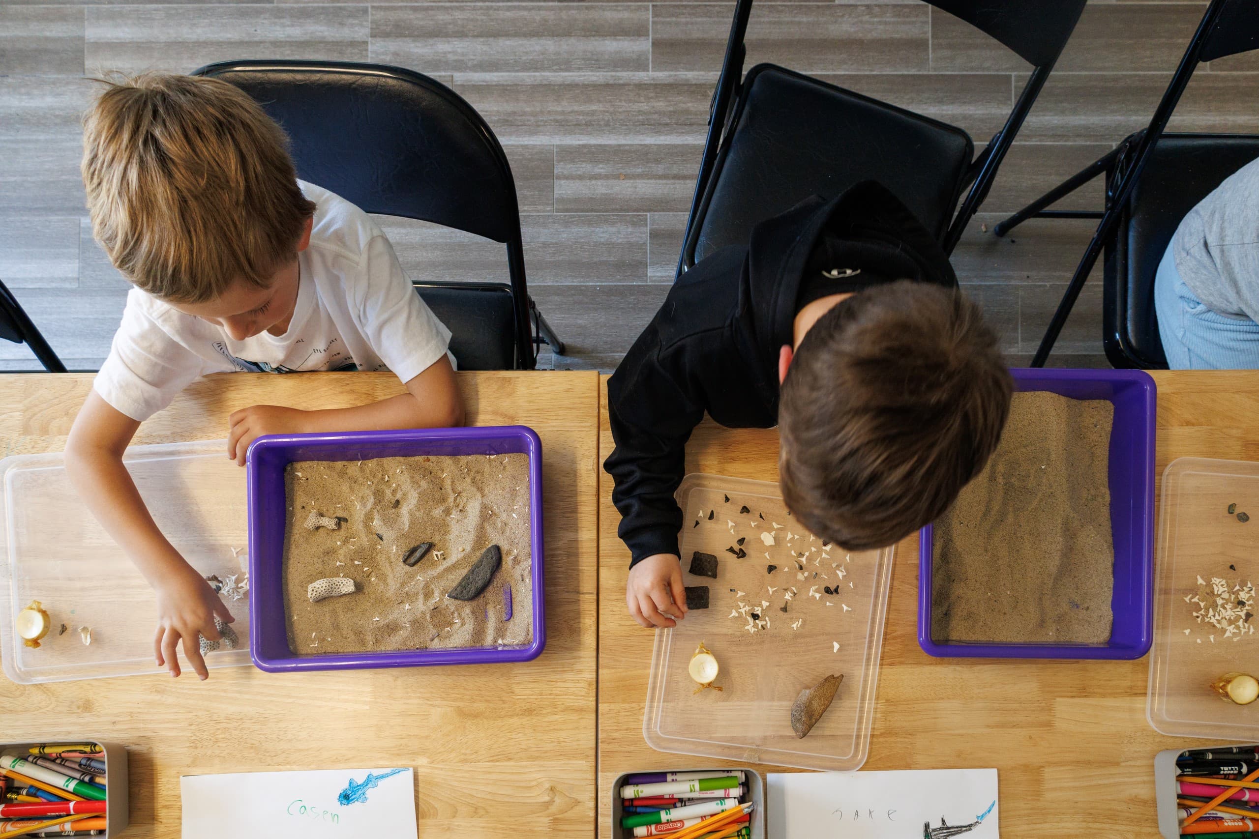 Family Fossil Fun at AWSC Shark Center Chatham — Hands-On One-Hour Program