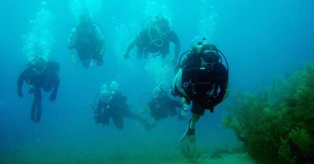 Group of scuba divers descending with blue ocean visibility and depth