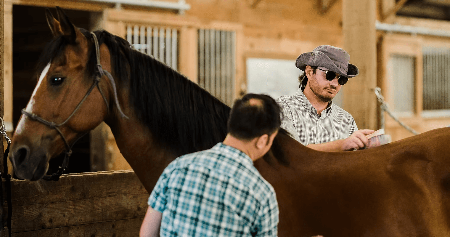Mindful Horsemanship at Liberty Reins: 3-Week Group for Youth in West Linn photo 2