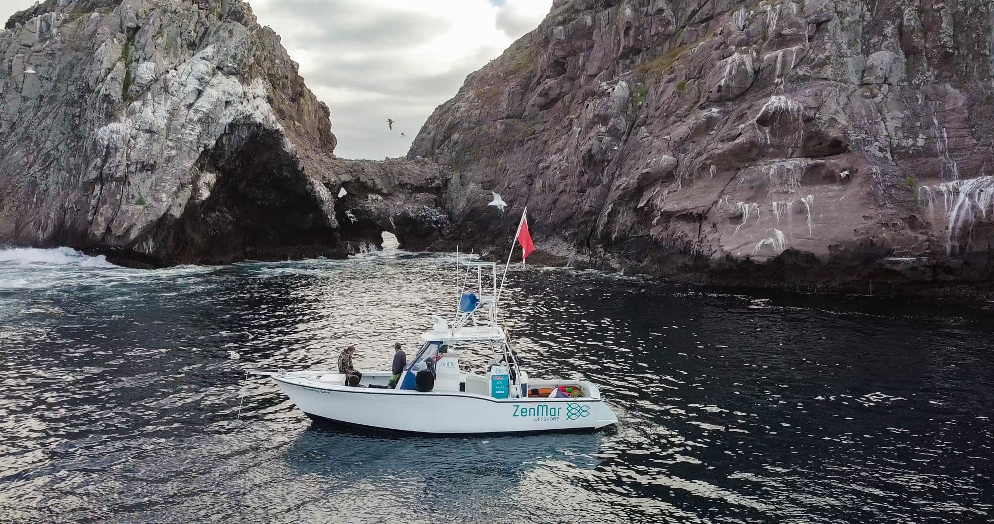 Beginner Spearfishing Course in San Diego, CA