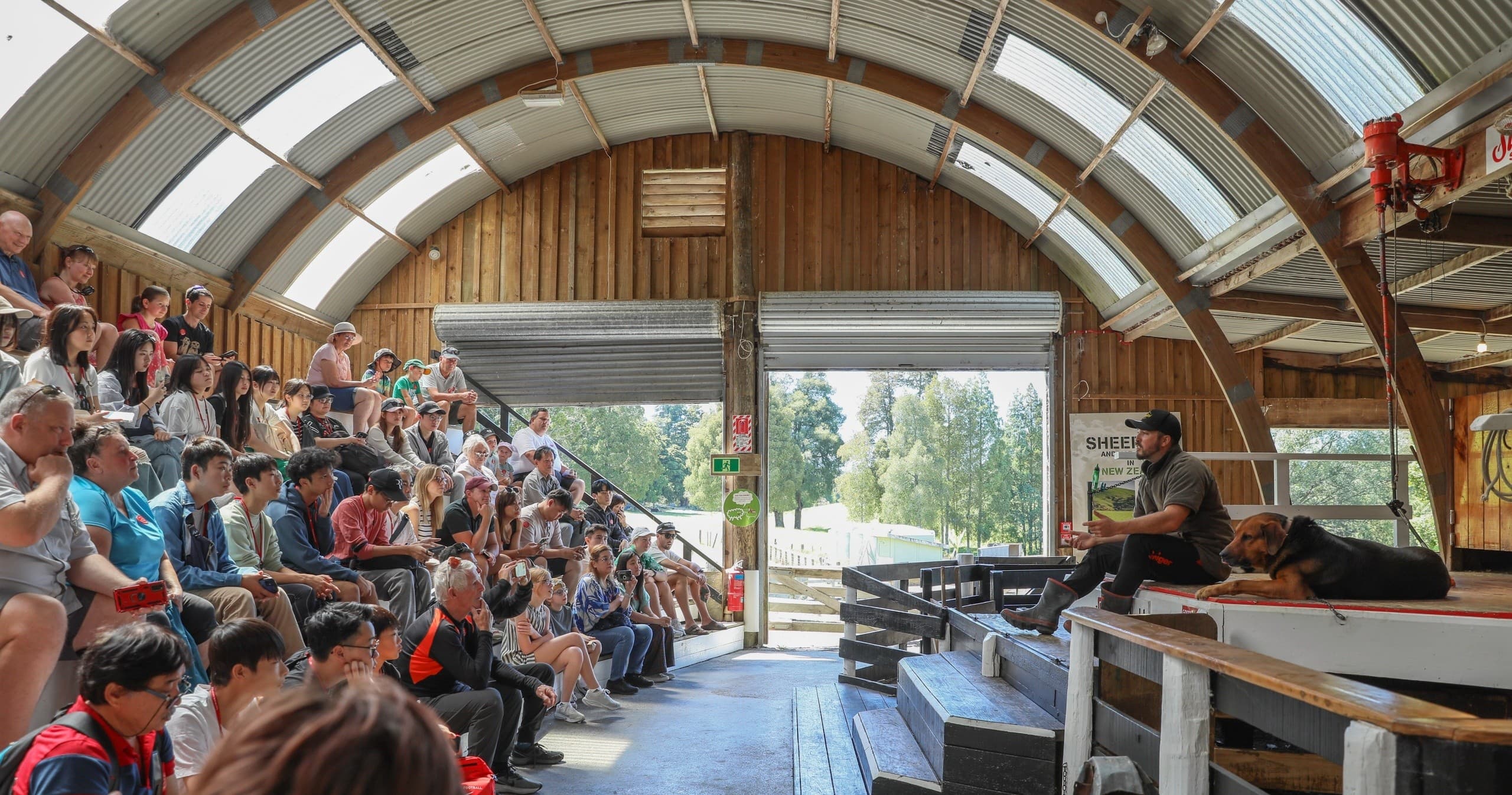 Audience watching sheepdog herding demo inside open farm shed