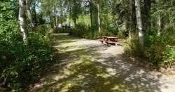 Premium Camping at Montana Creek Campground’s Camp Site 40