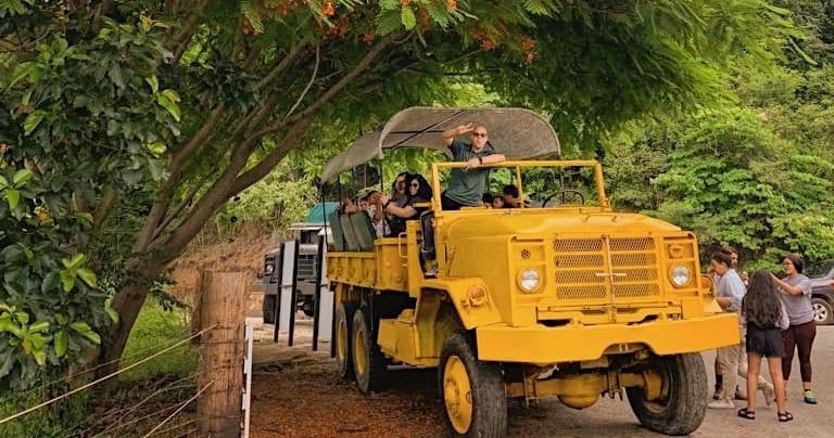 Unplugged Day Adventure at Finca Bee Happy, Puerto Rico