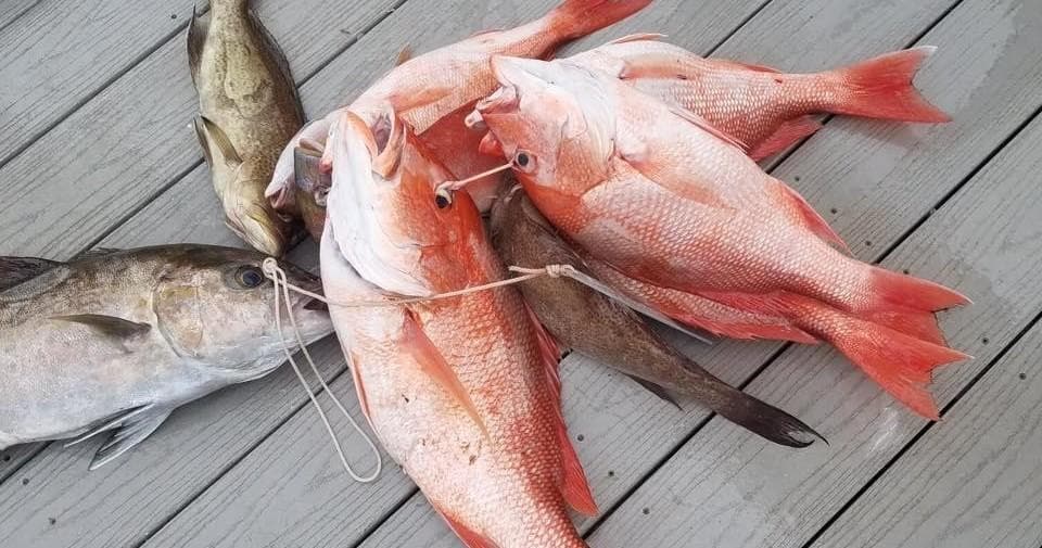 Destin Princess 6-Hour Fishing Trip | Fishing in Destin, Florida photo 1