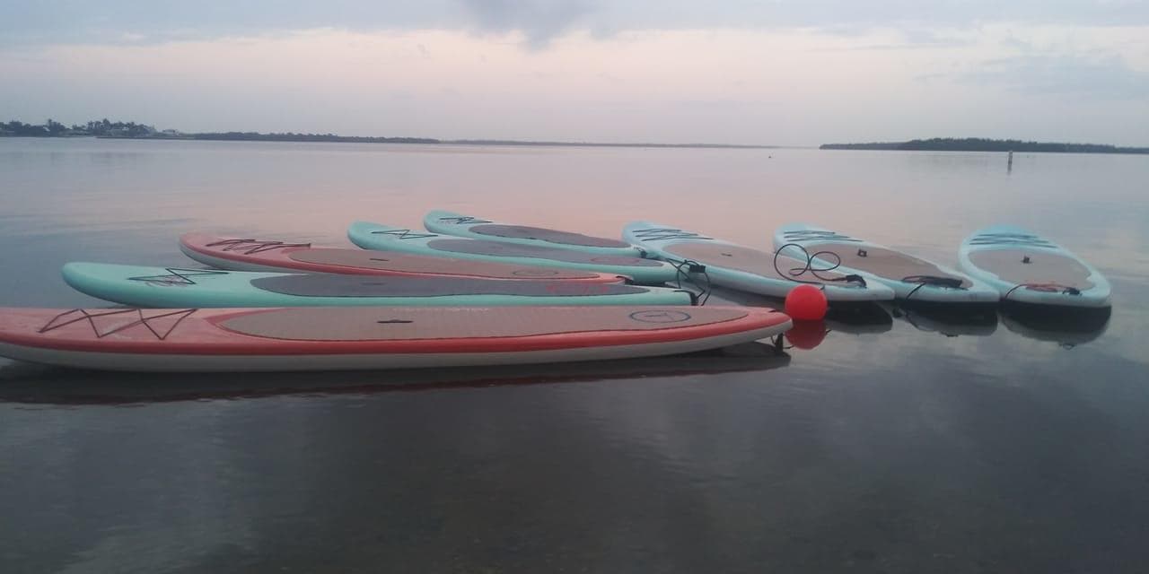 Multiday Paddle Board Rentals in Cape Coral, Florida