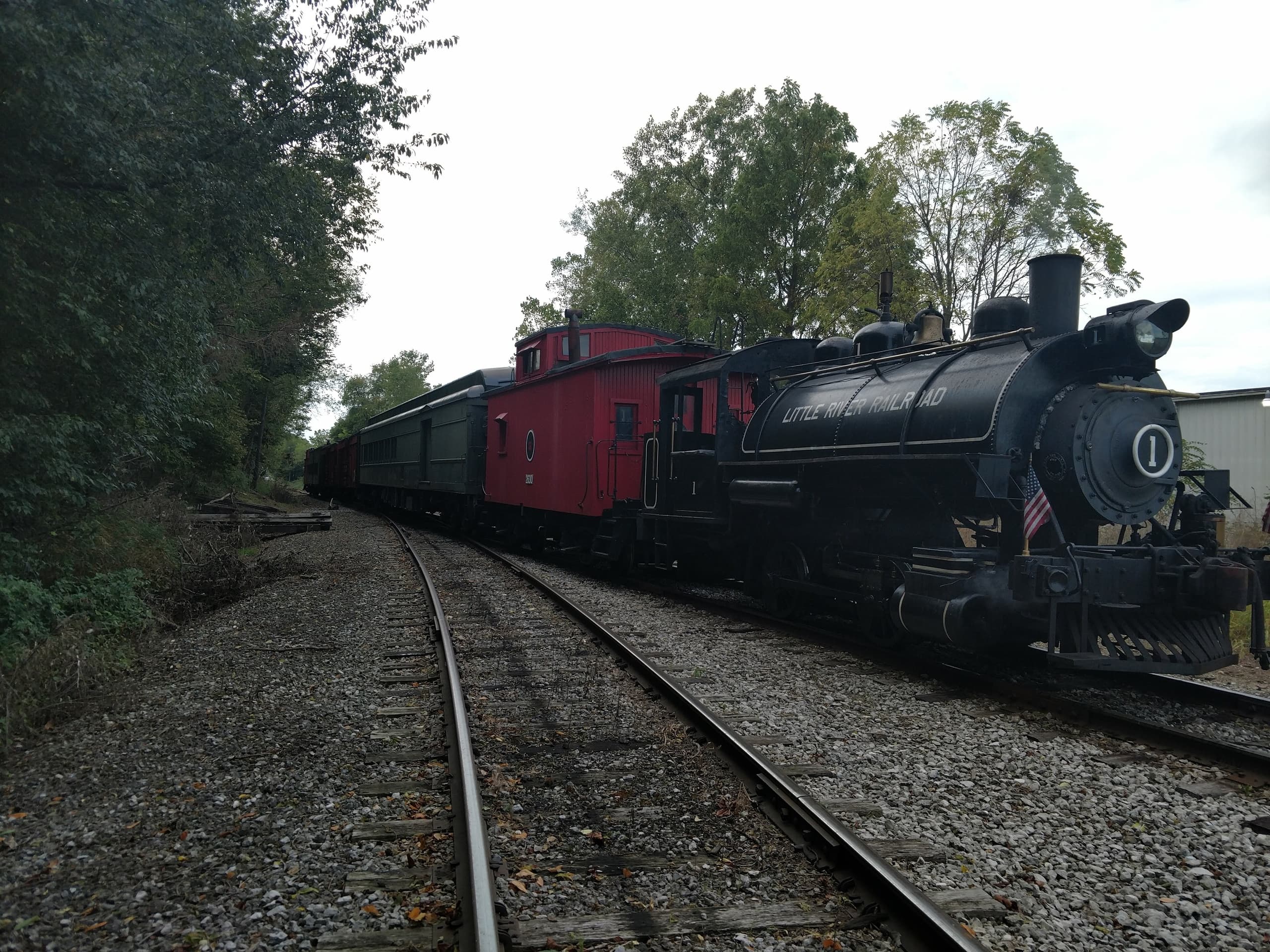 Quincy Flyer Steam Train Experience in Coldwater, Michigan