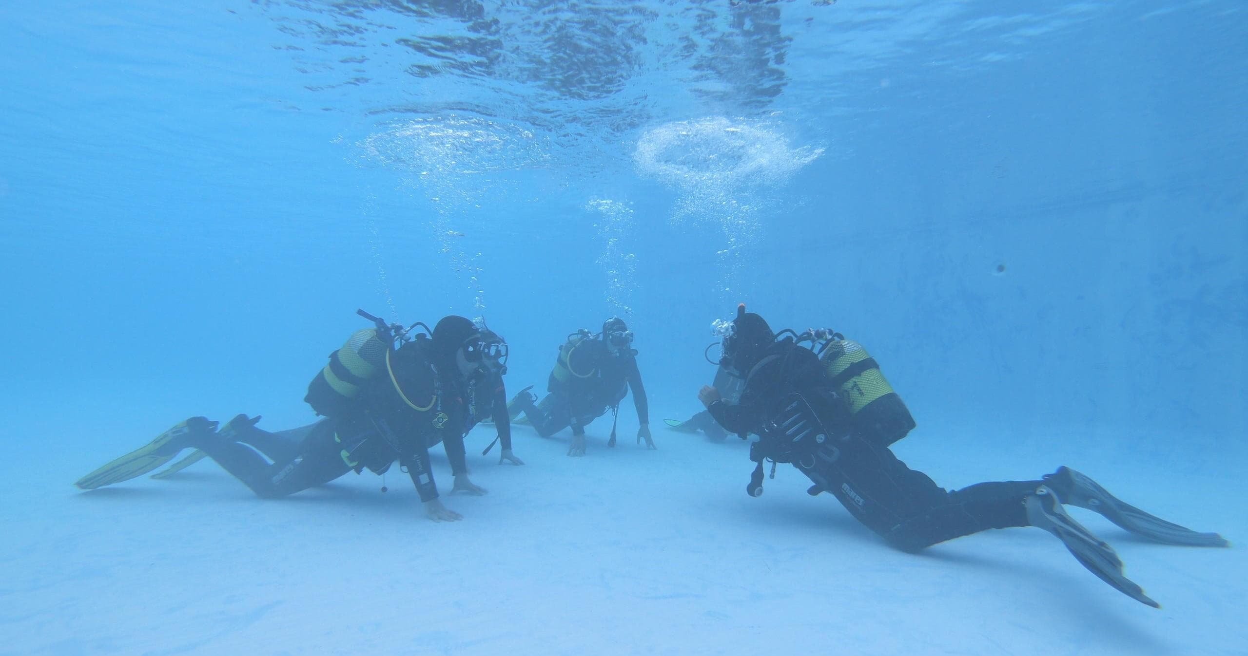 Water-Activities in Azoresdiving: Scuba Adventure in the Azores
