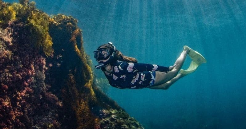 Snorkel Catalina Island: Mask, Fins & Wetsuit Rentals at Catalina Divers Supply