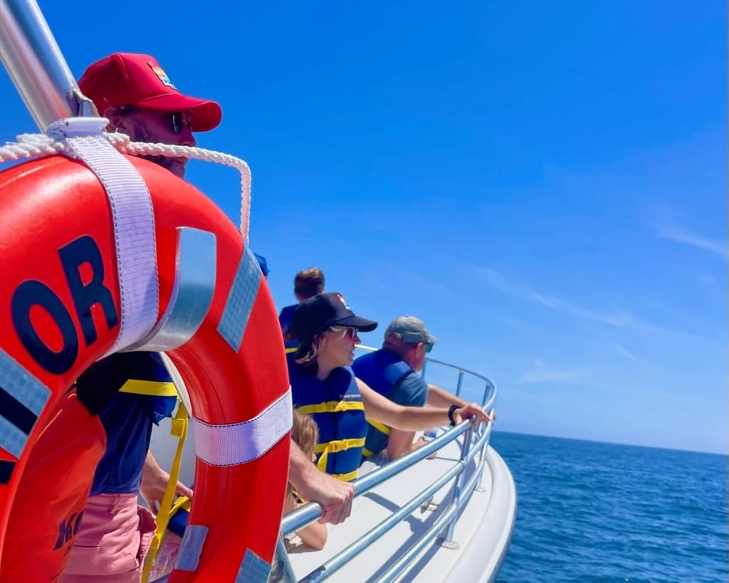 One-Hour Whale & Dolphin Adventure from Oxnard: Fast Marine Wildlife Tours photo 2