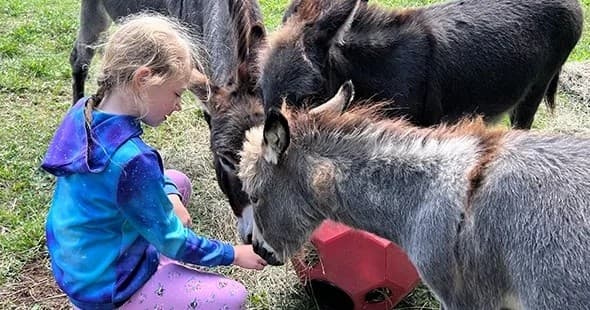 Wildlife Farm Tour at Wilderness Valley Farm in Gaylord