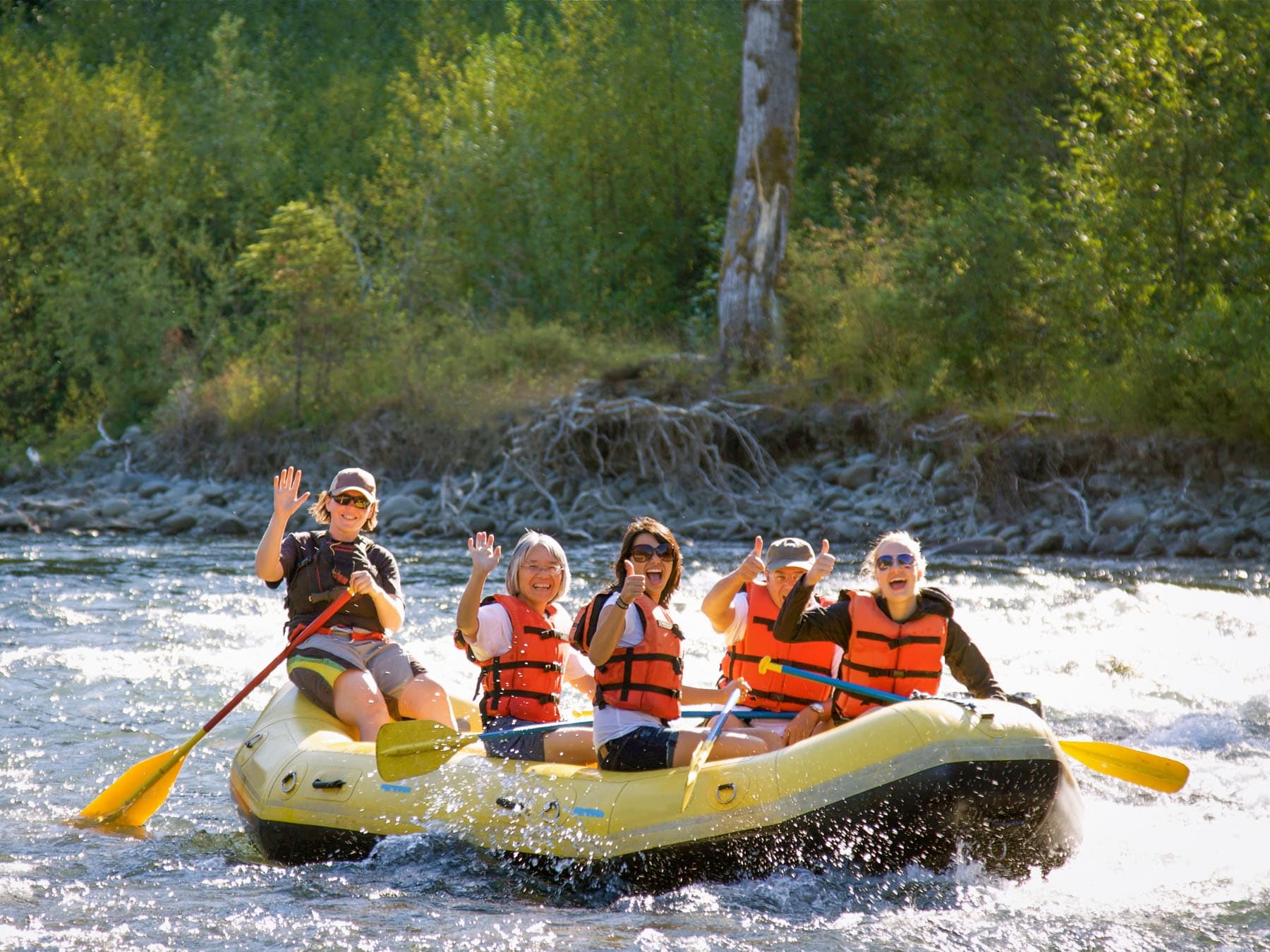 Group whitewater rafting on a scenic forested river