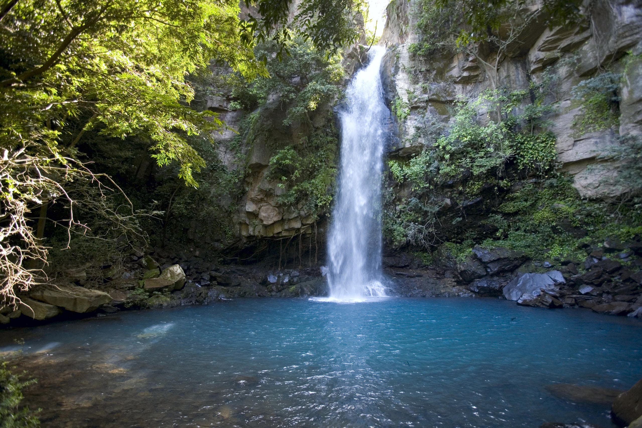 Hiking to La Cangreja Waterfall with Hacienda Guachipelin