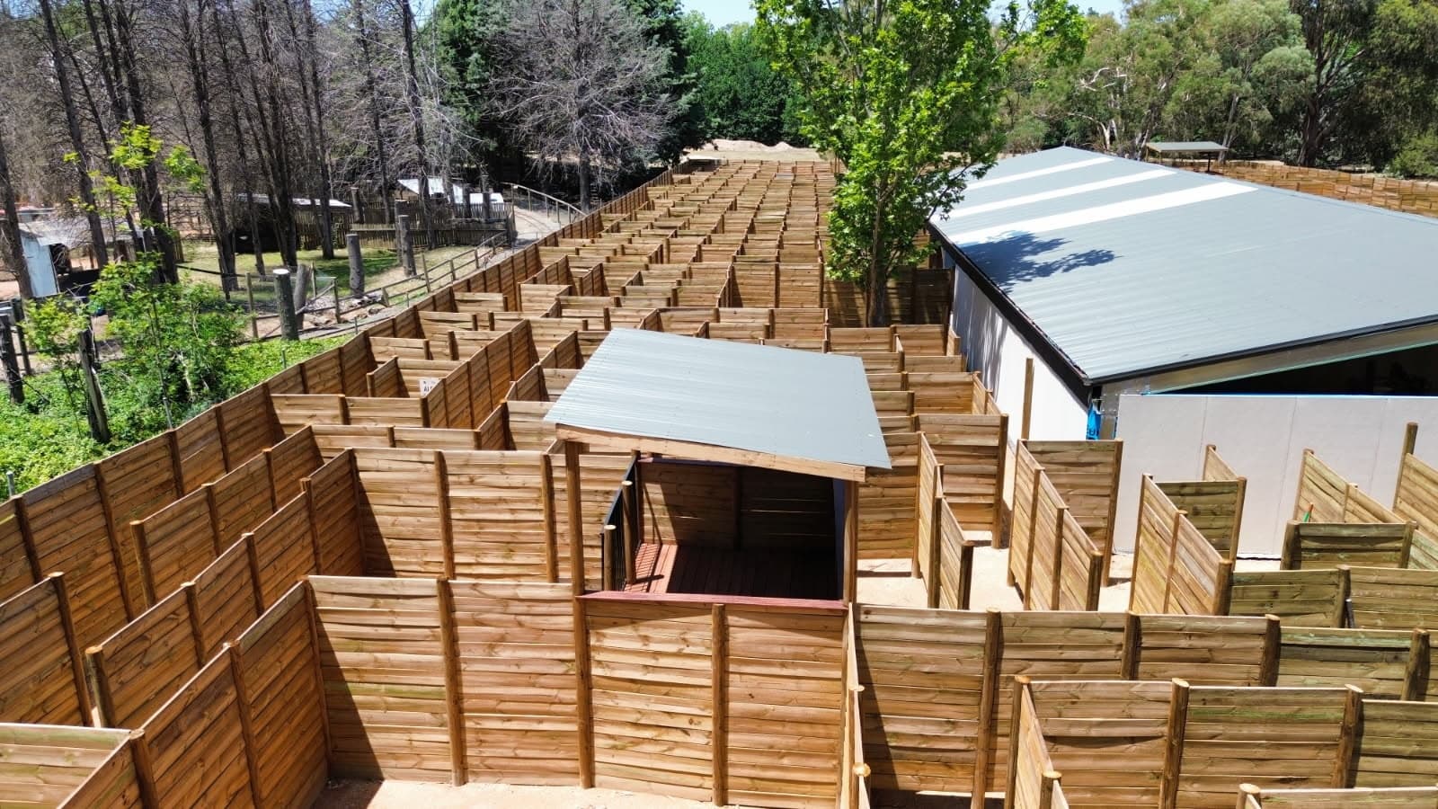 Maze Yarralumla: Canberra's First Family Labyrinth Adventure photo 2
