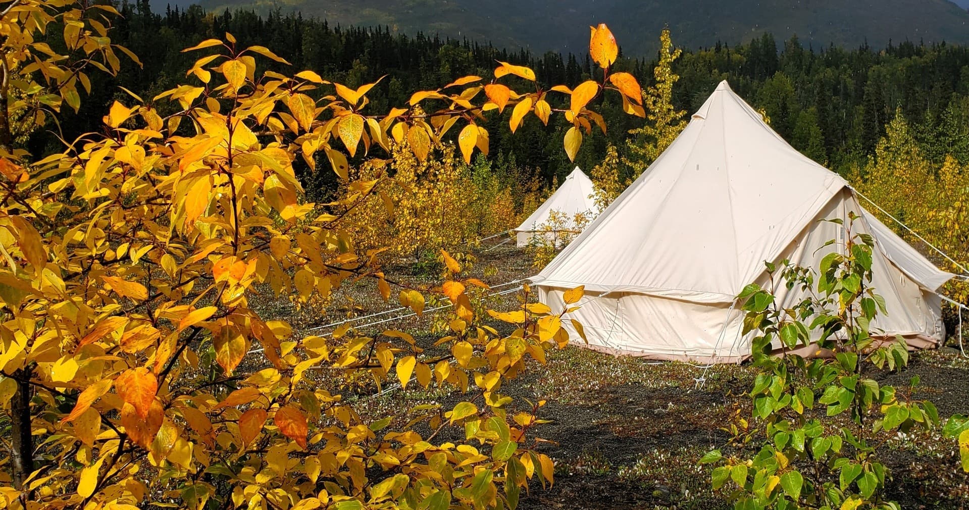 Rustic Alaskan Camping at Alaskan Glamping Near Anchorage