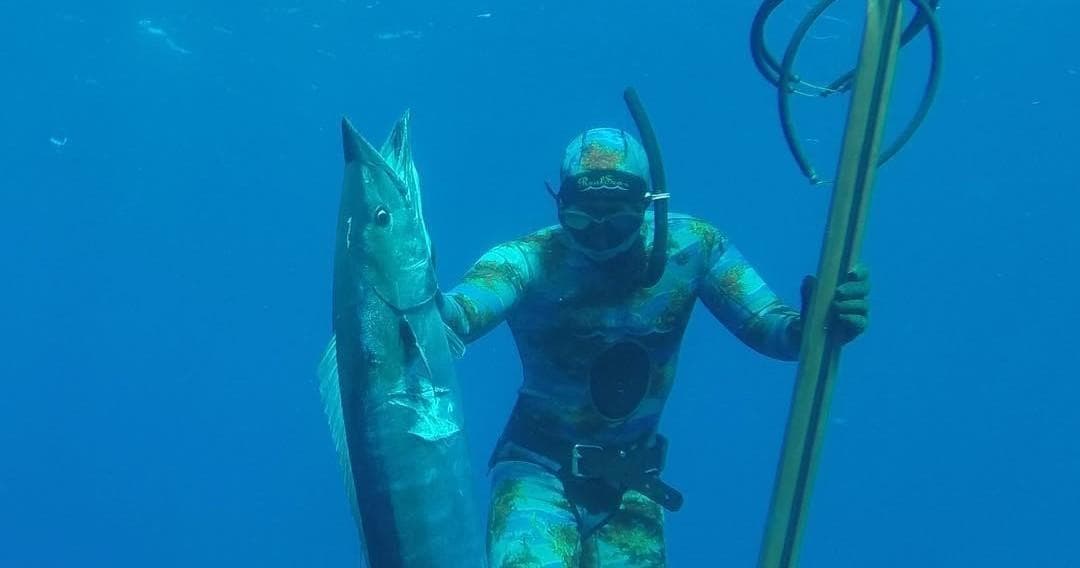 Spearfishing Adventure in Todos Santos, Baja California Sur