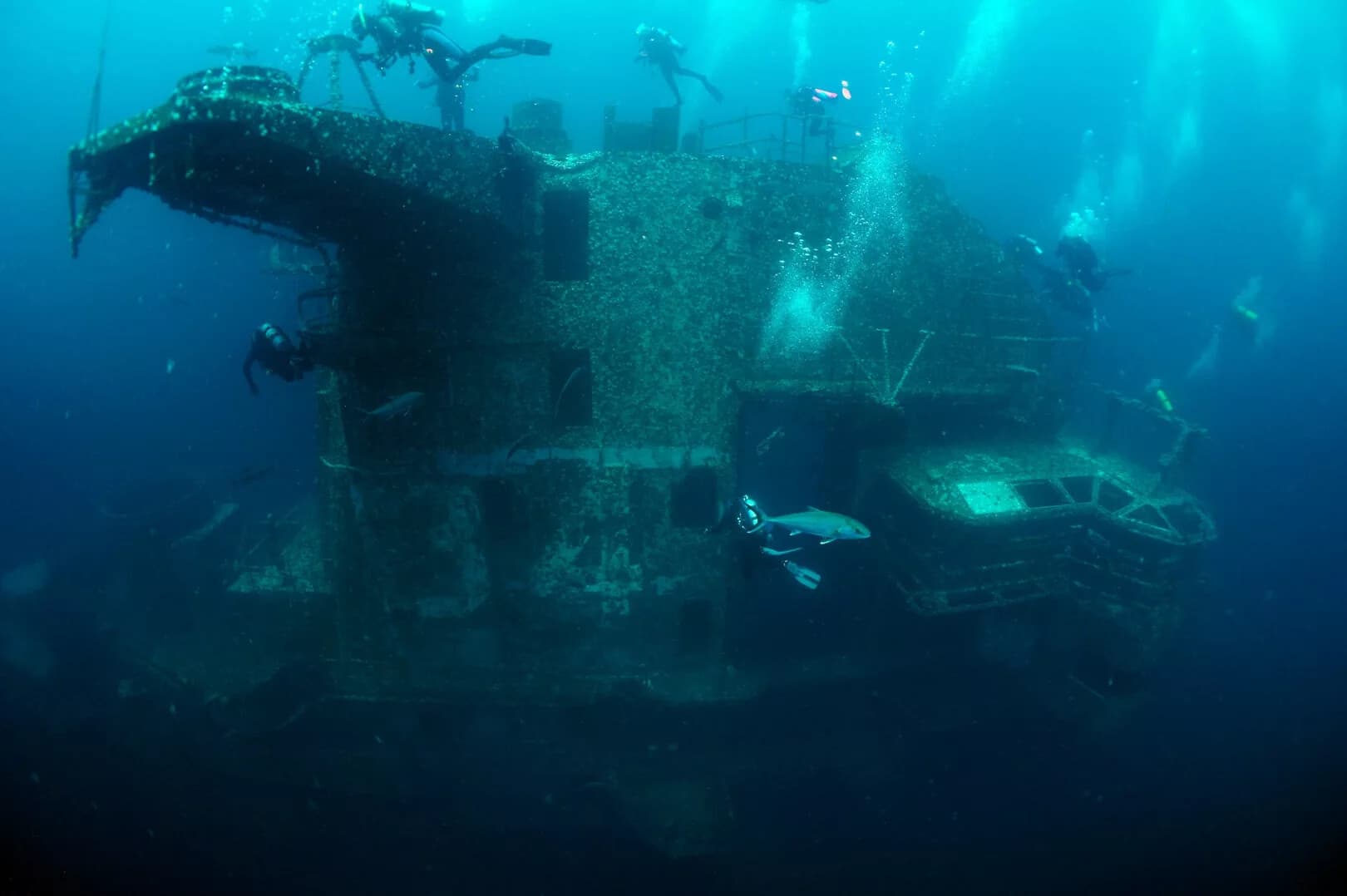 USS Oriskany Offshore Dive: 2-Tank Wreck Adventure From the Gulf photo 2