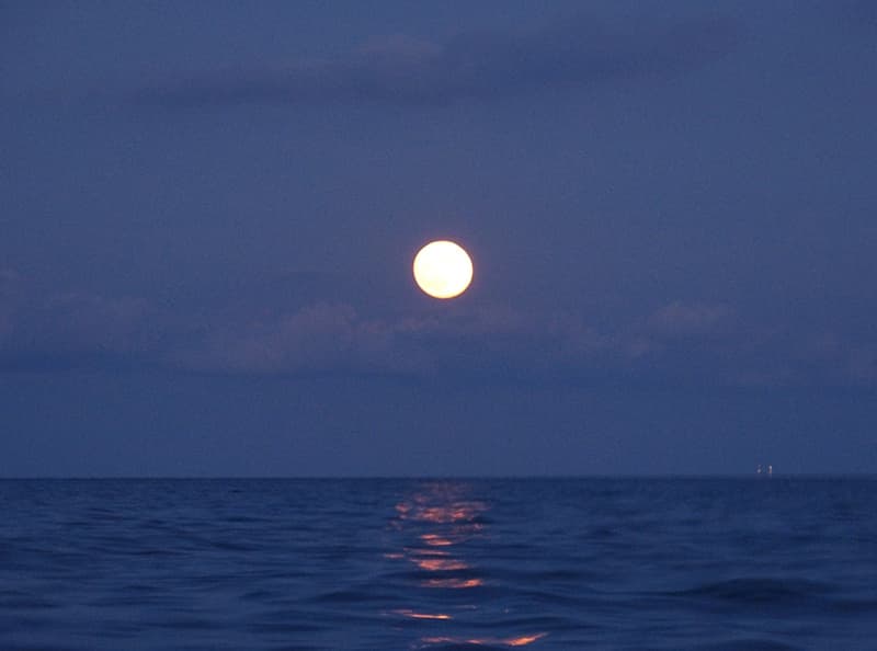 Water-Activities: Full Moon Sailing in Barcelona