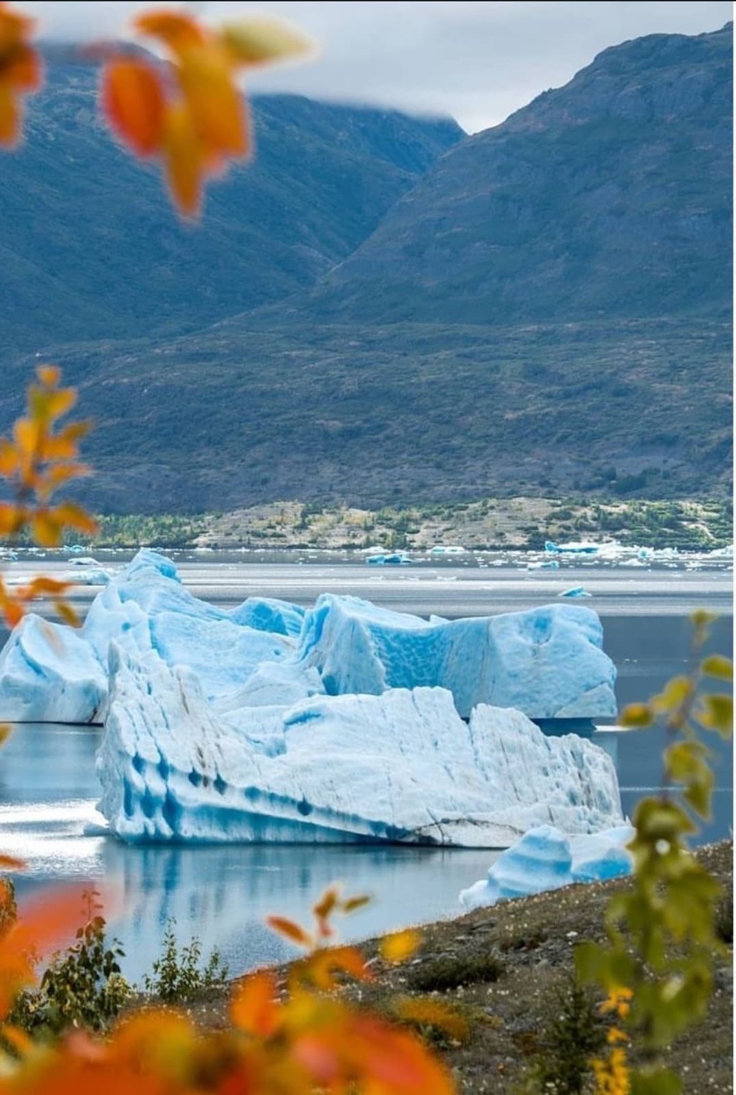 Grand Seward Ocean & Icebergs Helicopter Tour
