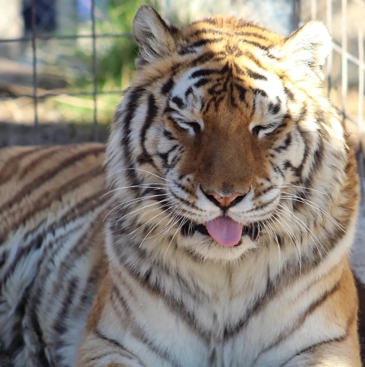 Wildlife & Nature at Forever Wild Exotic Animal Sanctuary