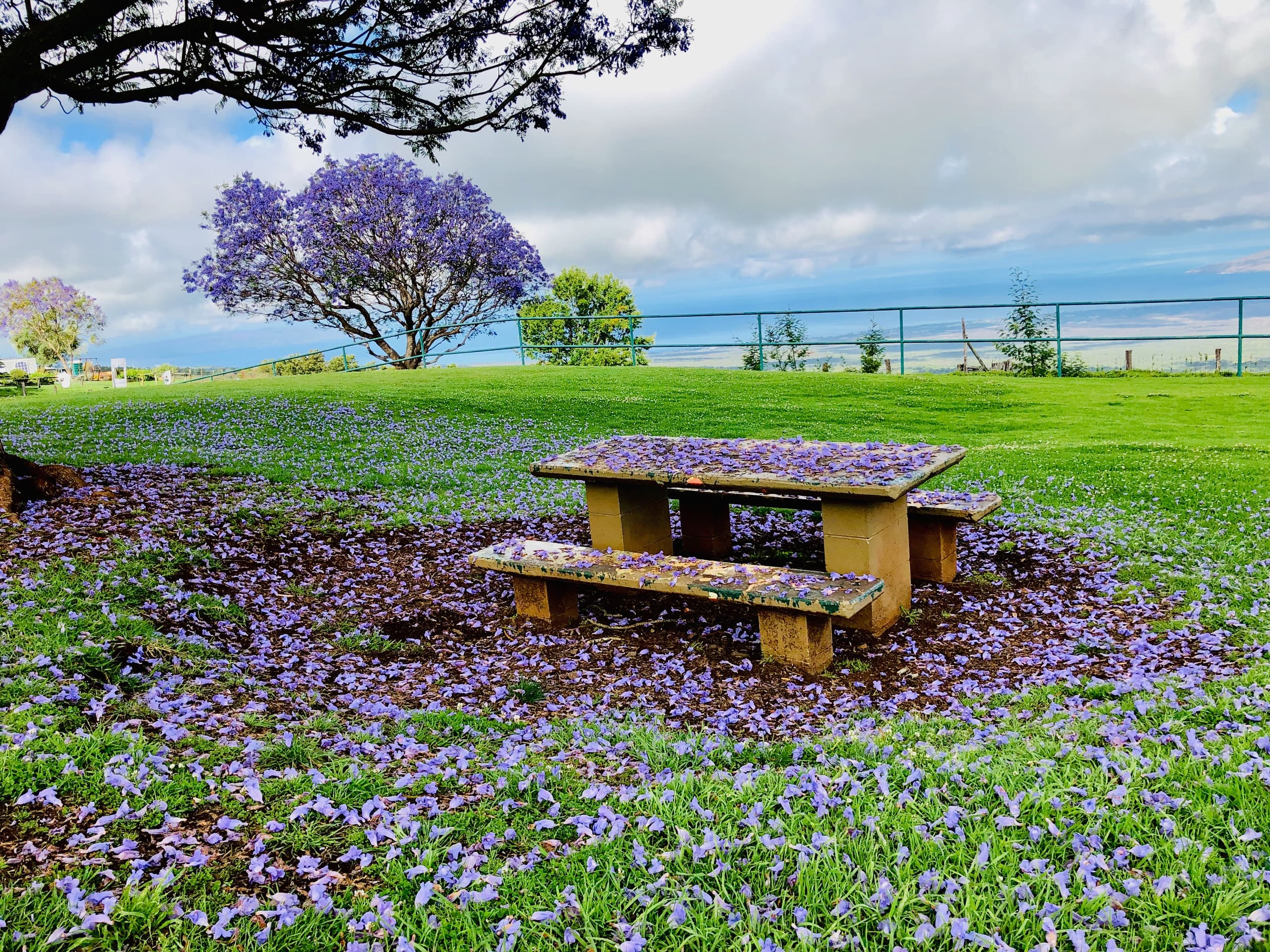 Explore Haleakala & Upcountry: Maui's Private Adventure