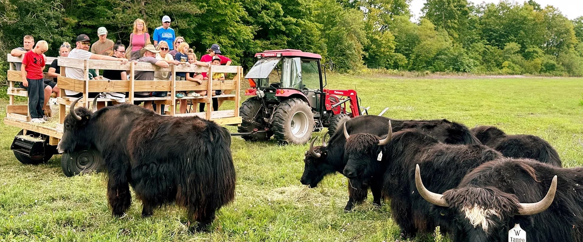 Public Farm Tour Experience in Gaylord, Michigan