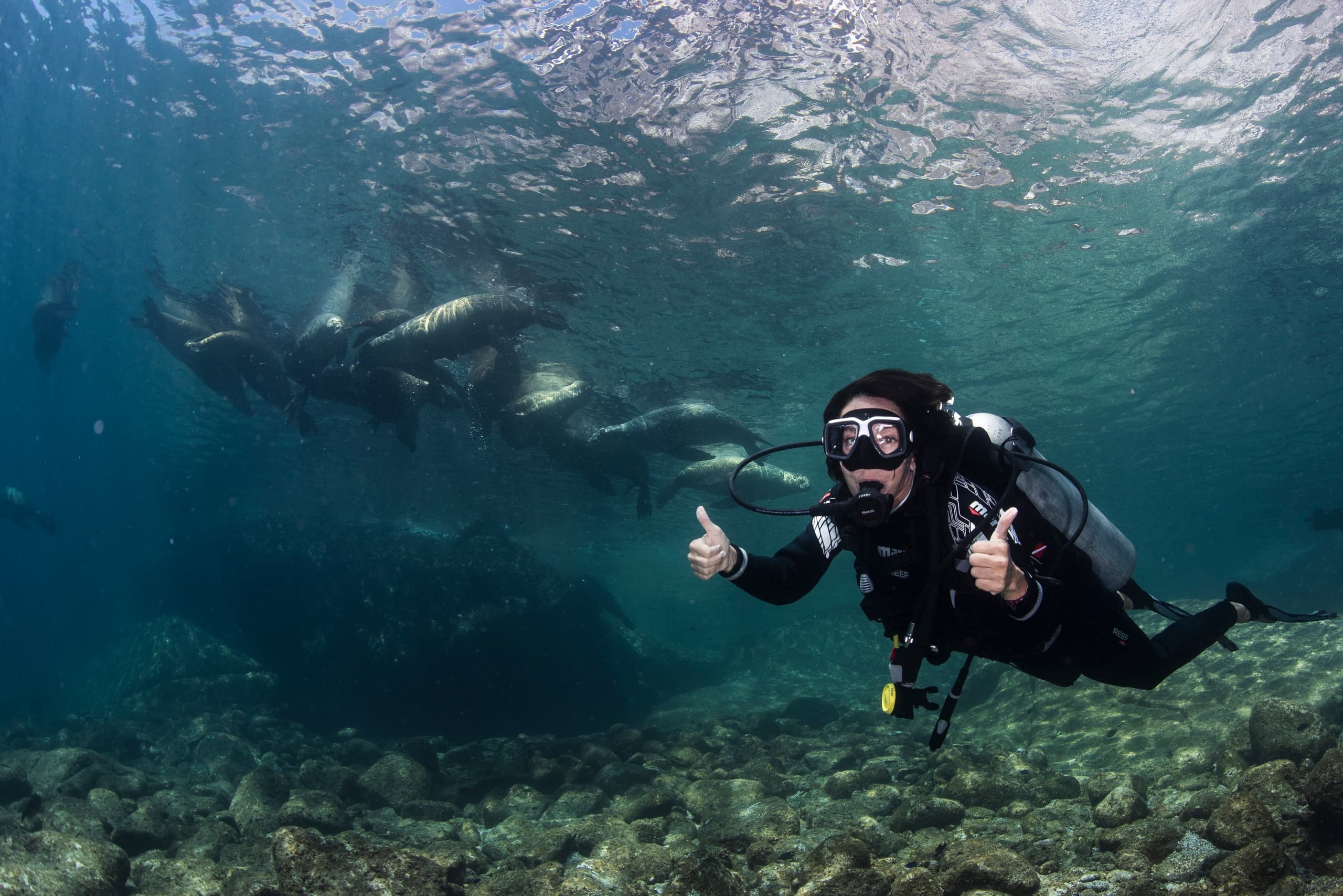 Baja Expeditions’ 2-Tank Panga Dive in La Paz