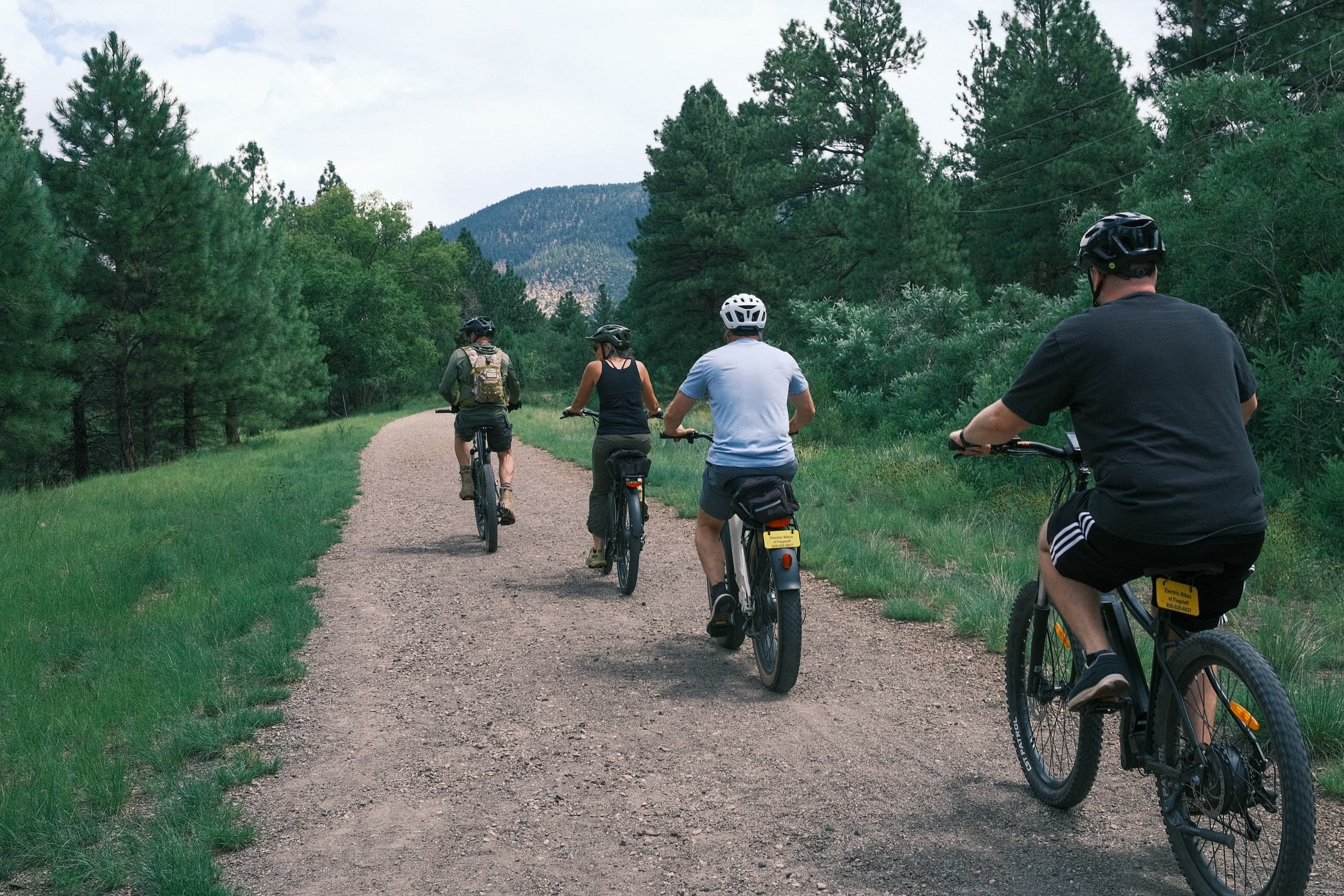 Group of cyclists riding forest trail with mountain view