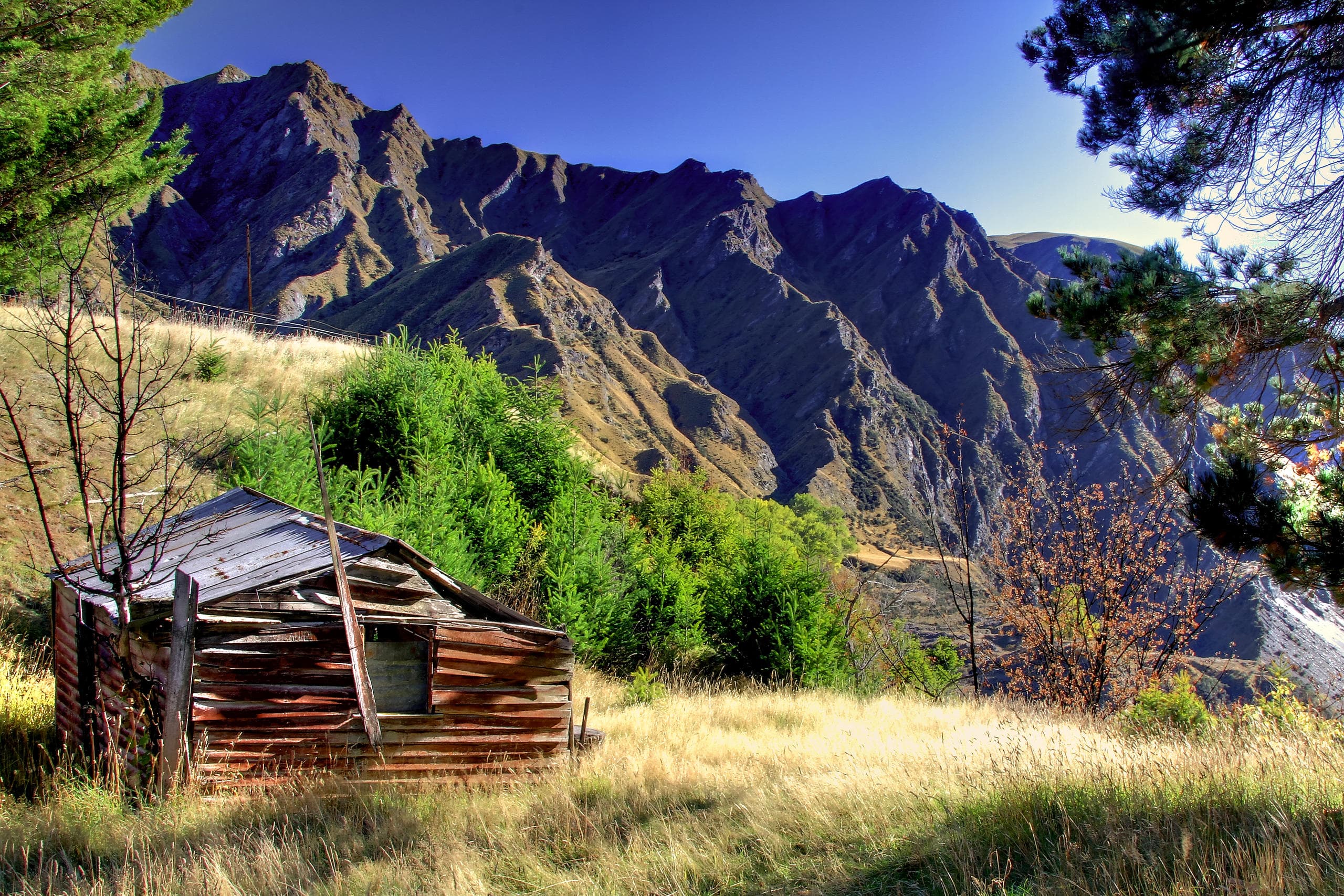 Queenstown Heritage Tours fleet