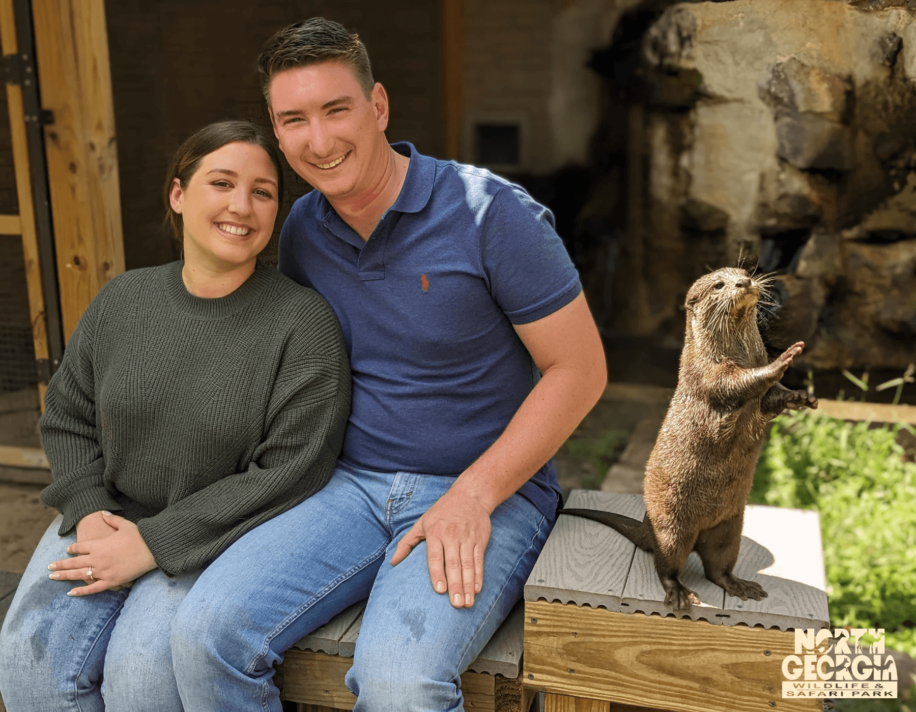 Wildlife & Safari: Otter Experience at North Georgia Wildlife & Safari Park