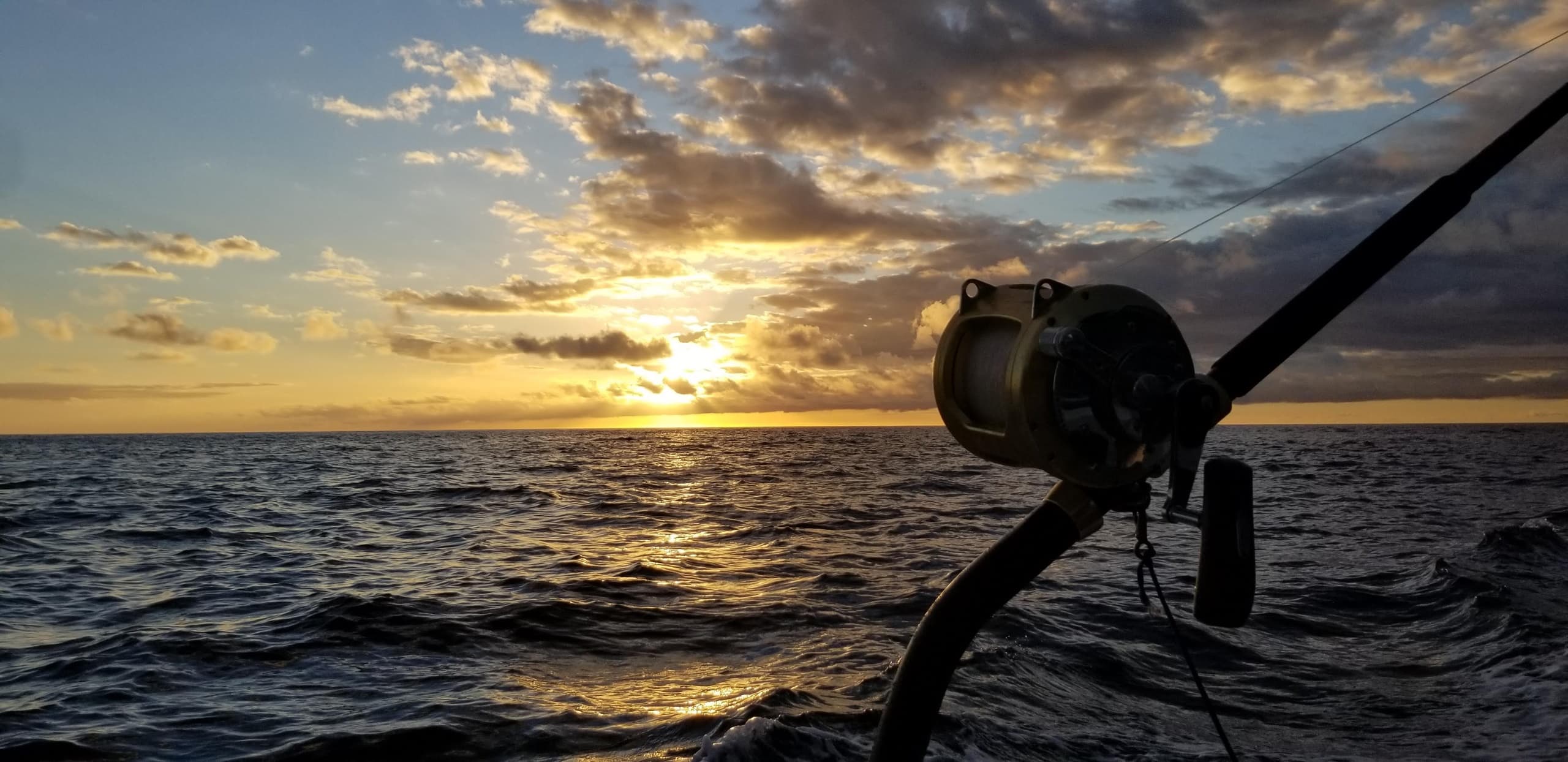 Fishing Adventure with Reel Escapes in Coastal Area