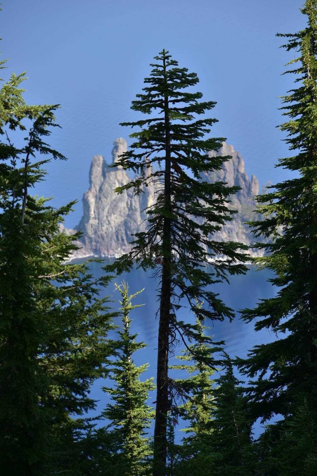 Tandem E-Bike Adventures on Crater Lake Rim photo 3
