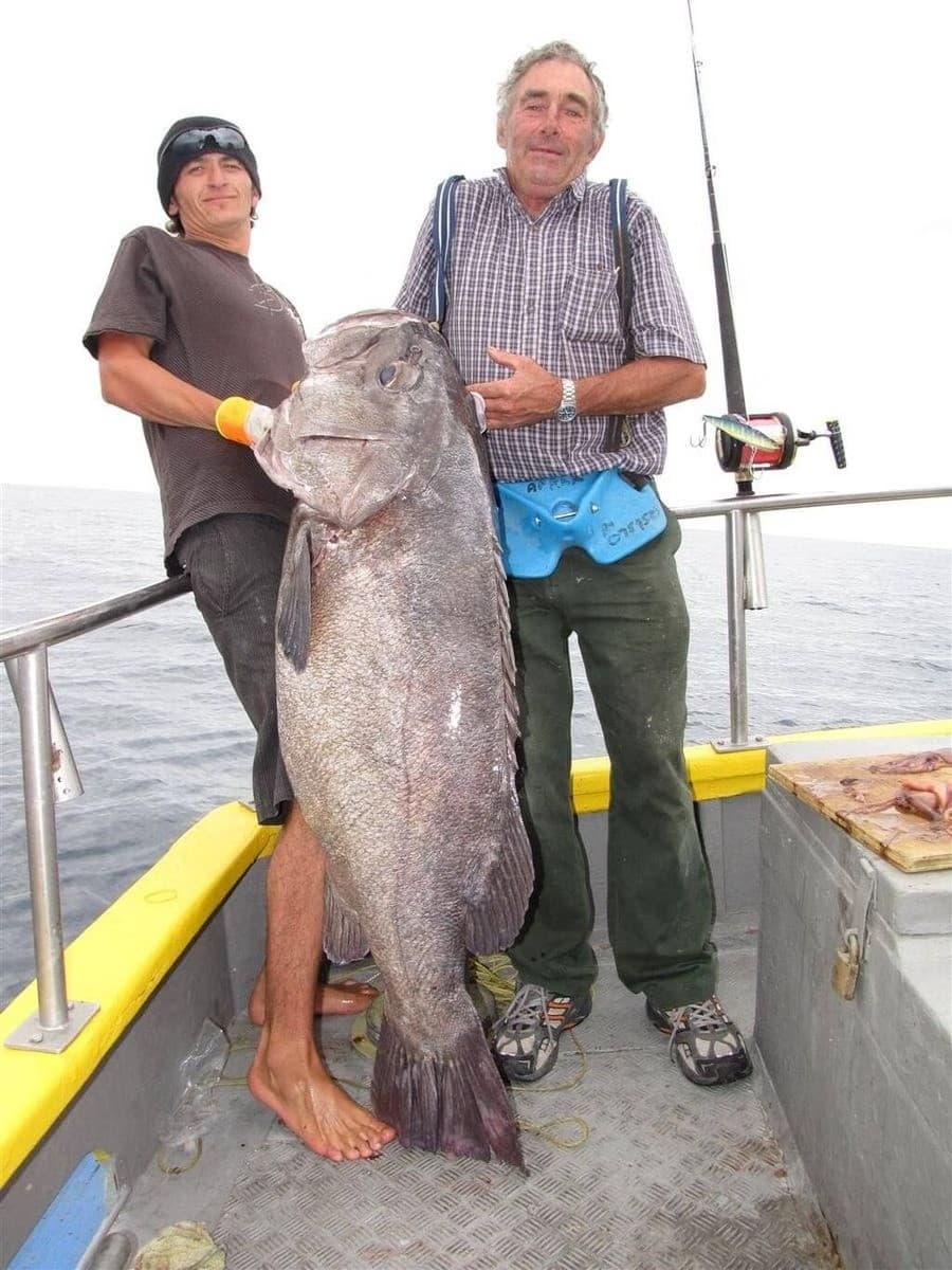 Tauranga Hapuka Deep-Water Fishing: 12-Hour Public Trip for Trophy Fish
