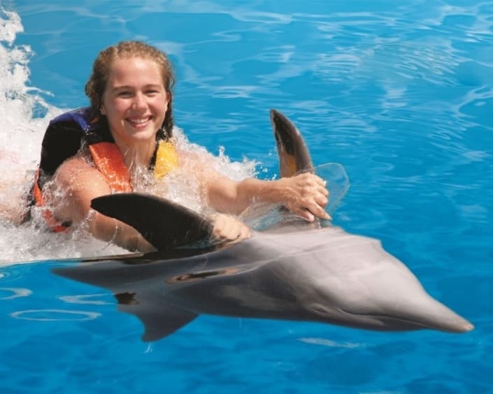 Dolphin Encounter Adventure with PVR Tours in Puerto Vallarta
