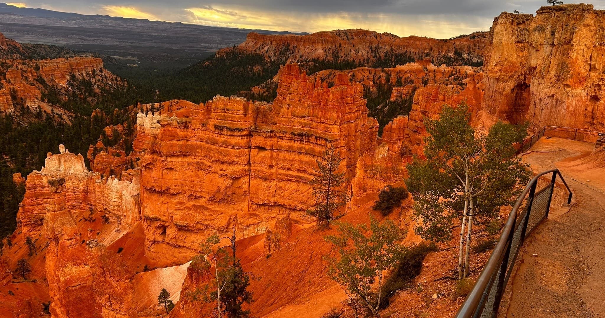 Half-Day Bryce Hike and Drive Tour from Springdale — Easy Trails, Hoodoos & Panoramas photo 3