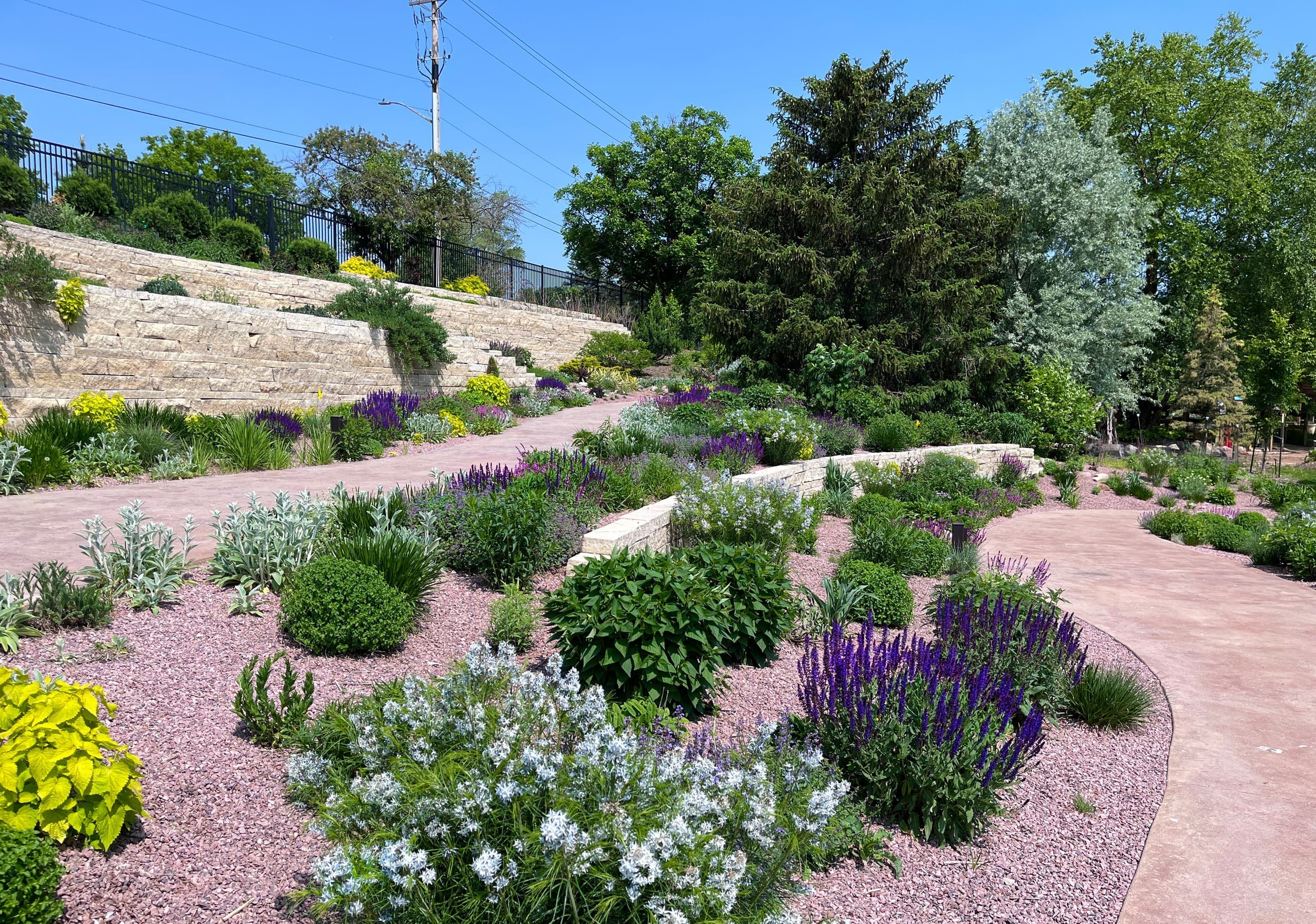 Hillside Water-Wise Gardening: Design, Gravel Systems, and Plant Lessons in Ames