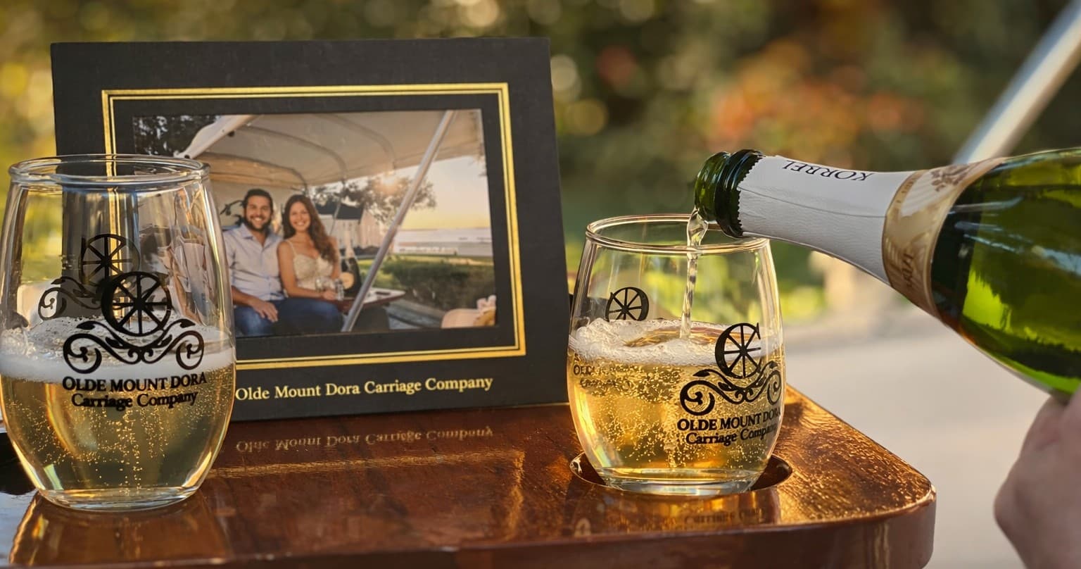 Sunset Carriage Ride on Lake Dora: Prosecco & Keepsake Photo in Mount Dora photo 3