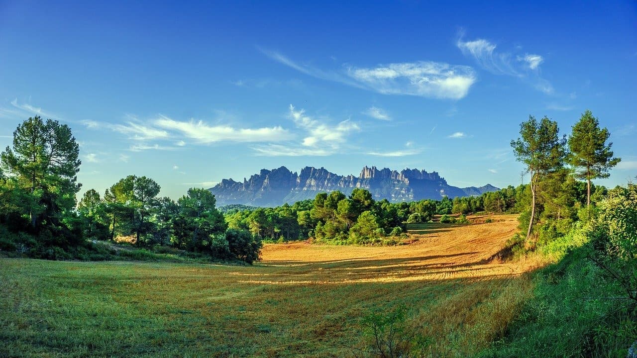 Land Adventures with Catalan Trails: Montserrat & Penedès Experience